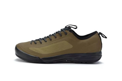 鳥鞋新色煥新登場 極致體驗(yàn)，悅享足下風(fēng)采